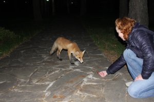IMG_4981.JPG