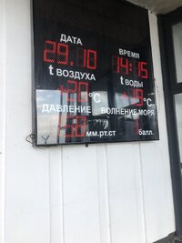 IMG_2091.jpeg