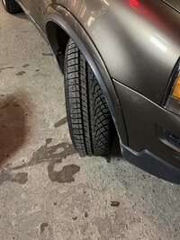 IMG_8170.jpeg IMG_8170.jpeg