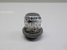 IMG_5566.jpeg