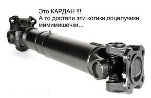 кардан.jpg