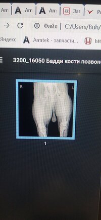IMG_20241224_120539.jpg