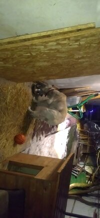 IMG_20250101_190631.jpg