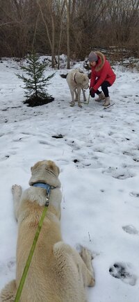 IMG_20250103_142219.jpg