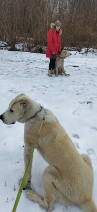 IMG_20250103_142526.jpg