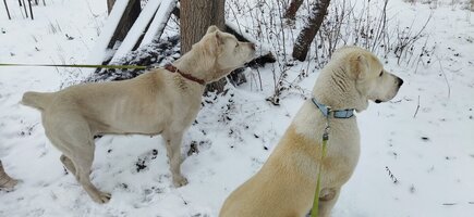 IMG_20250105_095054.jpg