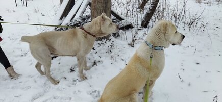 IMG_20250105_095059.jpg