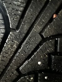 IMG_5041.jpeg