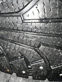 IMG_5037.jpeg