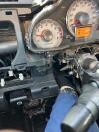 IMG_8637.jpeg IMG_8637.jpeg