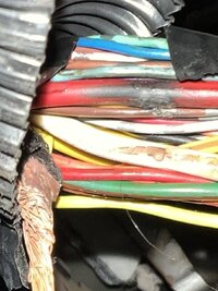 IMG_8662.jpeg IMG_8662.jpeg