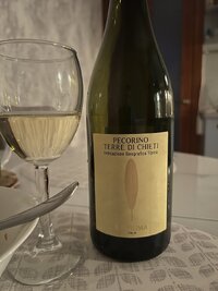 IMG_8731.jpeg