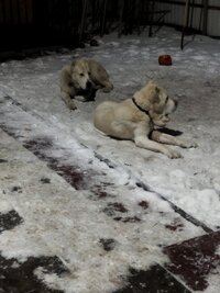IMG_20250302_200709.jpg