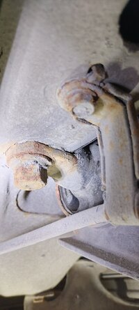 IMG_20250322_162423.jpg