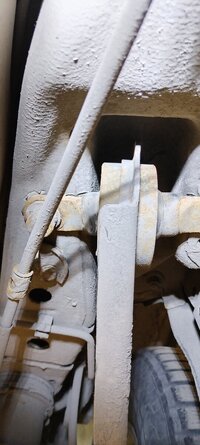 IMG_20250322_163229.jpg