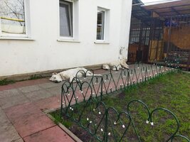IMG_20250417_135107.jpg
