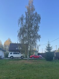 71705153203__A517424E-1F34-4EDE-8D95-284B0AE1501F.fullsizerender.jpeg