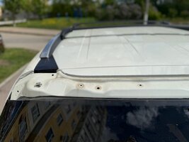 IMG_7093.jpeg