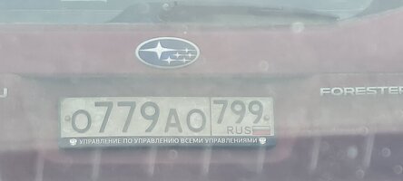 20250517_163350.jpg