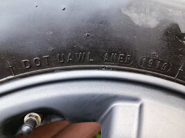 IMG_20250517_174925.jpg