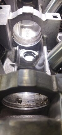 IMG_20240726_170728.jpg