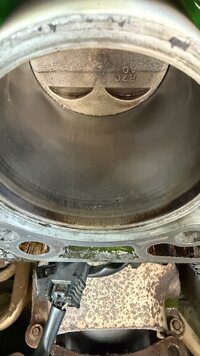 IMG_1976.jpeg