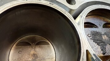 IMG_1977.jpeg