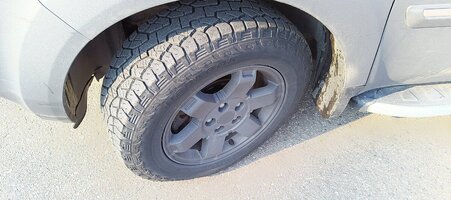 IMG_20250709_071402.jpg