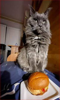 1755355453601.png