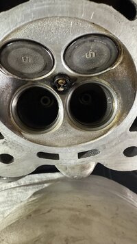 IMG_2046.jpeg