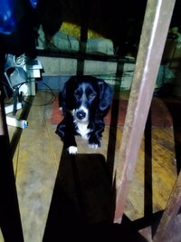 IMG_20251013_175311.jpg