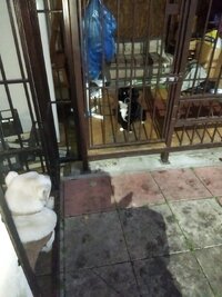 IMG_20251013_175159.jpg