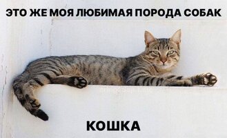 IMG_20251015_205712_787.jpg