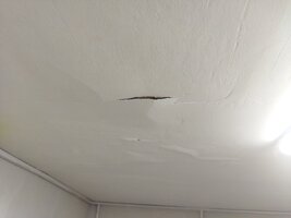IMG_20251210_105951.jpg