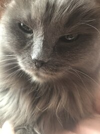 IMG_4379.jpeg IMG_4379.jpeg