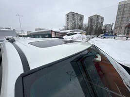 IMG_7595.jpeg