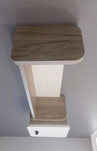 1000037316.jpg