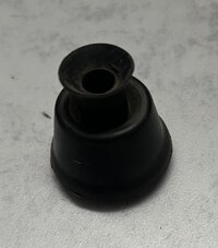 IMG_5560.jpeg