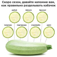 IMG_1483.jpeg