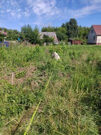 IMG_20260714_092341.jpg