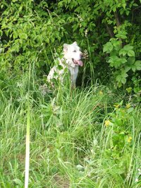 IMG_20260622_193152.jpg