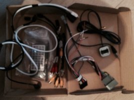 image (1).jpg