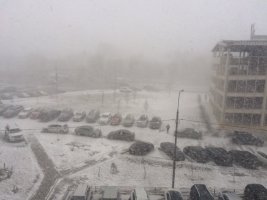 IMG_6253.JPG