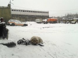 Линда службу несет по честному.jpg Линда службу несет по честному.jpg