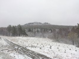 2015051100492100.jpg