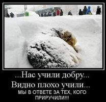 IMG_2013826_114333.jpg