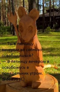WP_20151004_11_31_21_Rich.jpg