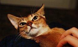 DSC_0111.JPG