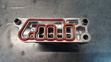 20160325_204751.jpg