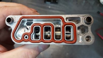 20160325_204837.jpg